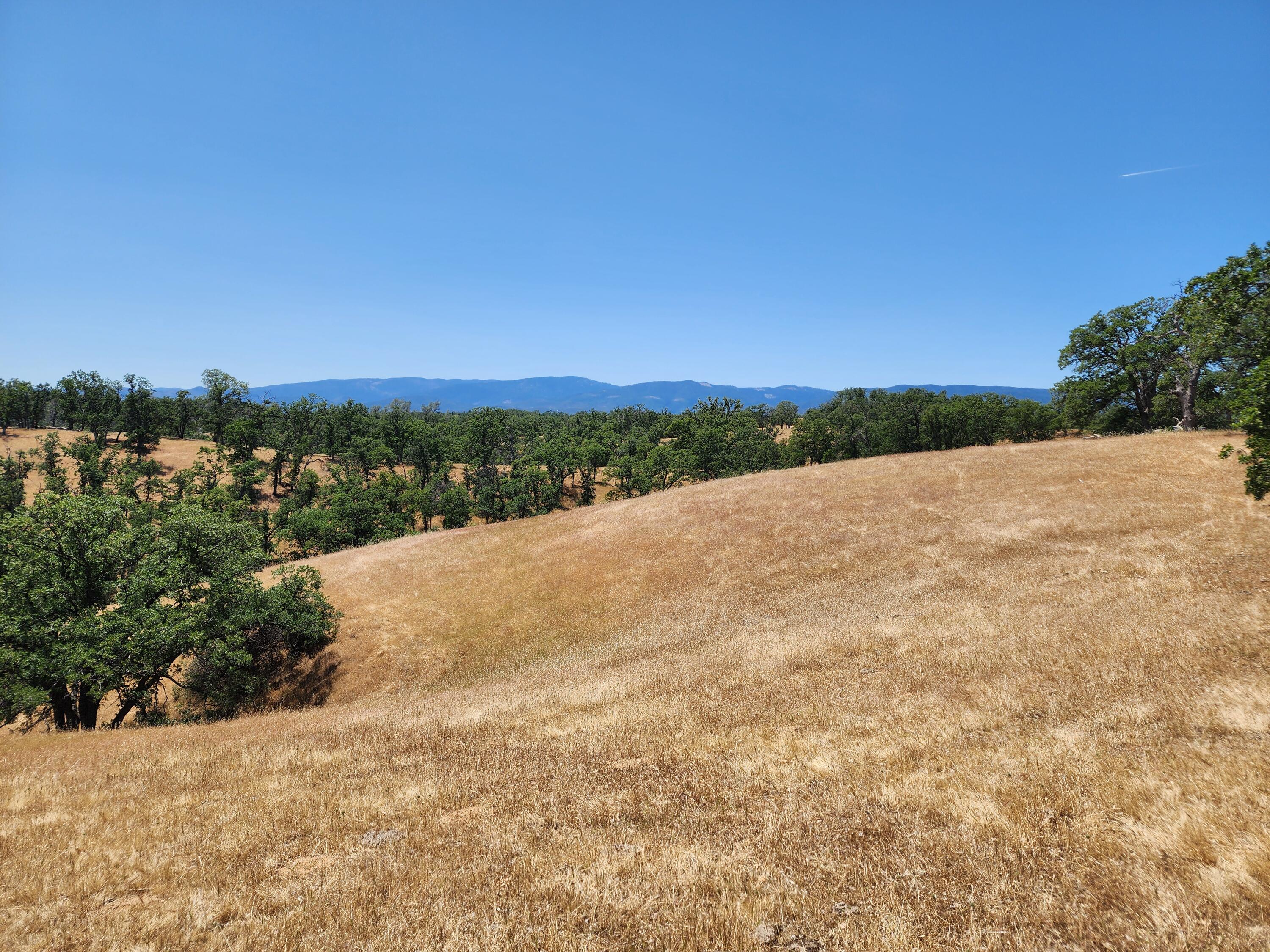 0 Colyer Springs Road Red Bluff, CA 96080 - Photo 7 of 29