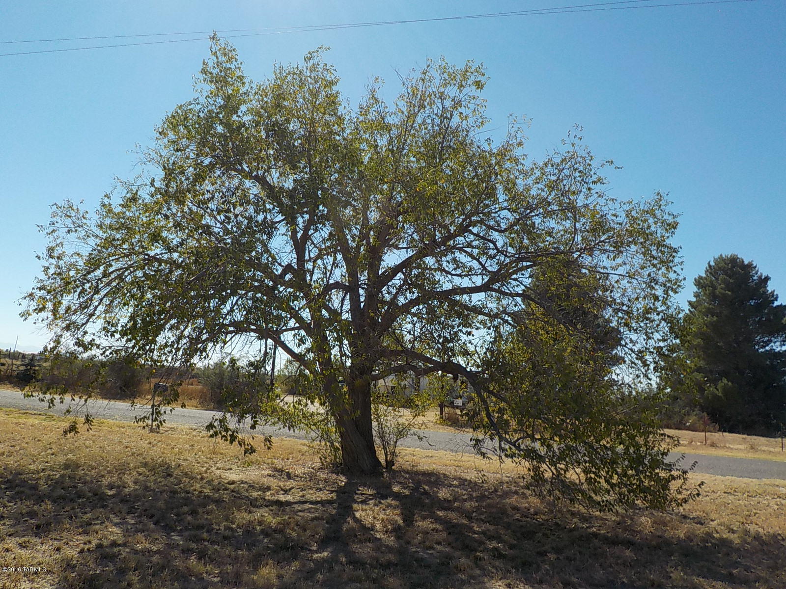 1682 West Packing Plant Road Willcox, AZ 85643 - Photo 33 of 34 Gallery Image 33
