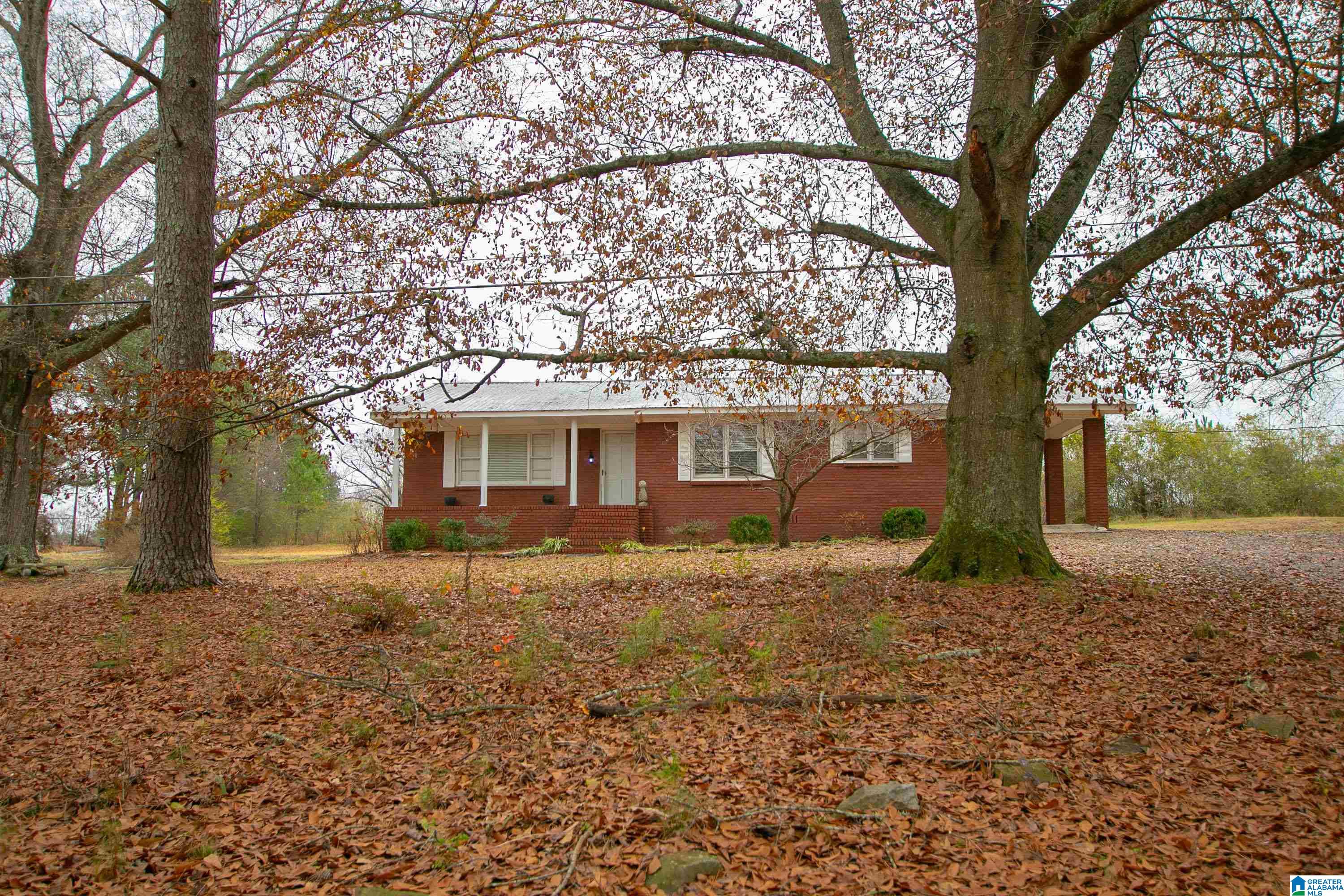 5252 Spunky Hollow Road Remlap, AL 35133 - Photo 57 of 58