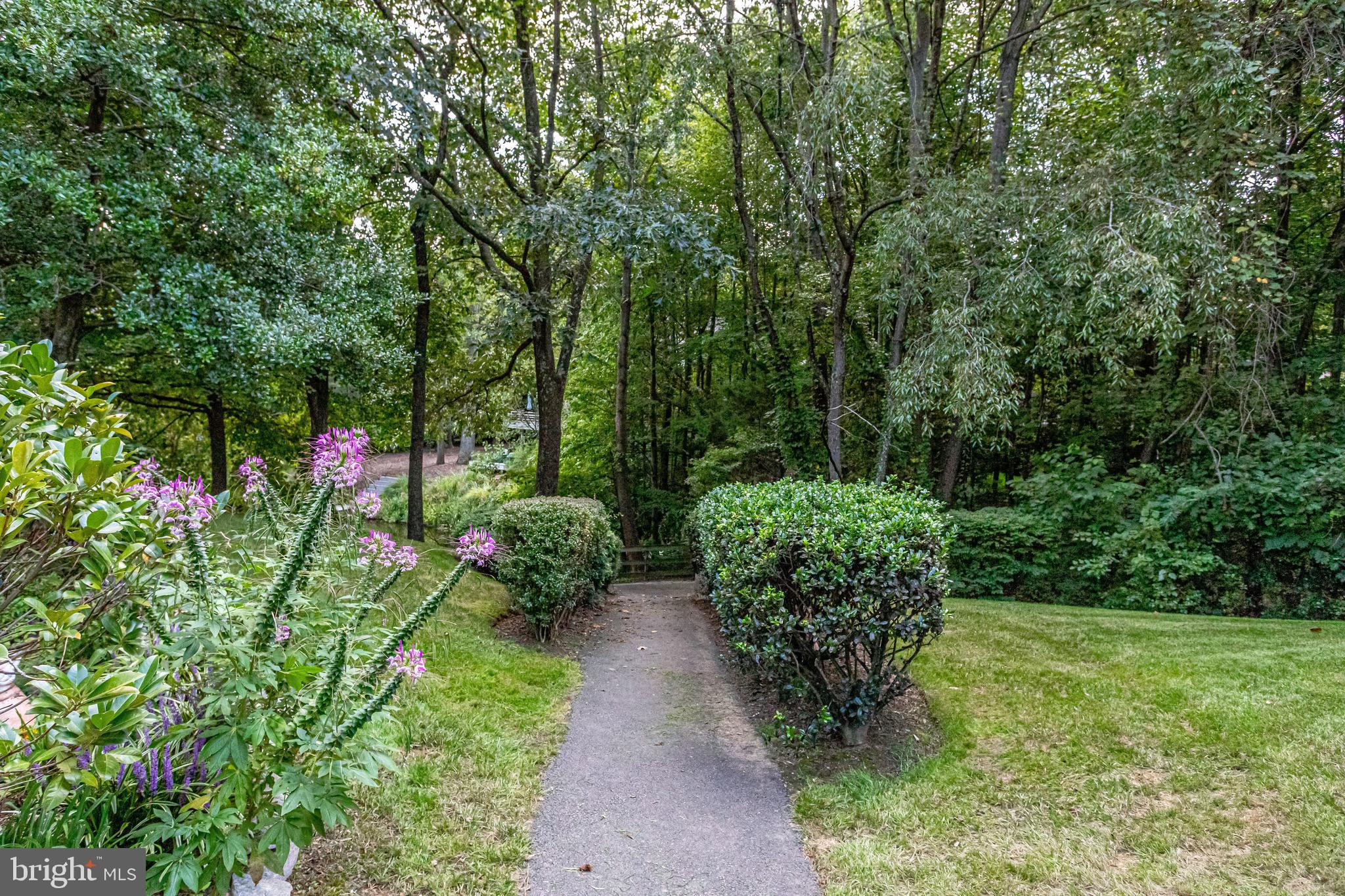 11419 Hollow Timber Way Reston, VA 20194 - Photo 72 of 76 50+ Miles Paved Trails