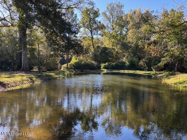 220 Highway 27 Tylertown, MS 39667 - Photo 4 of 46 IMG_5823