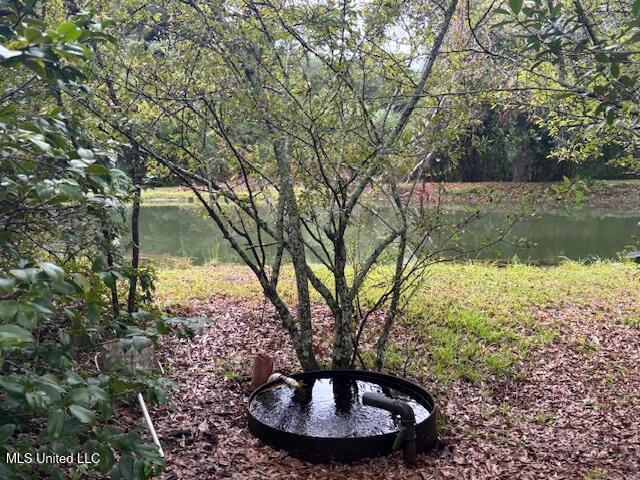 220 Highway 27 Tylertown, MS 39667 - Photo 6 of 46 IMG_5367