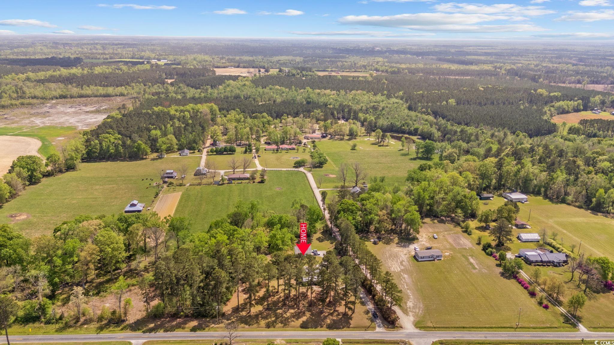 2731 Fork Of Swamp Road Galivants Ferry, SC 29544 - Photo 29 of 32 Drone / aerial view featuring a view of trees and