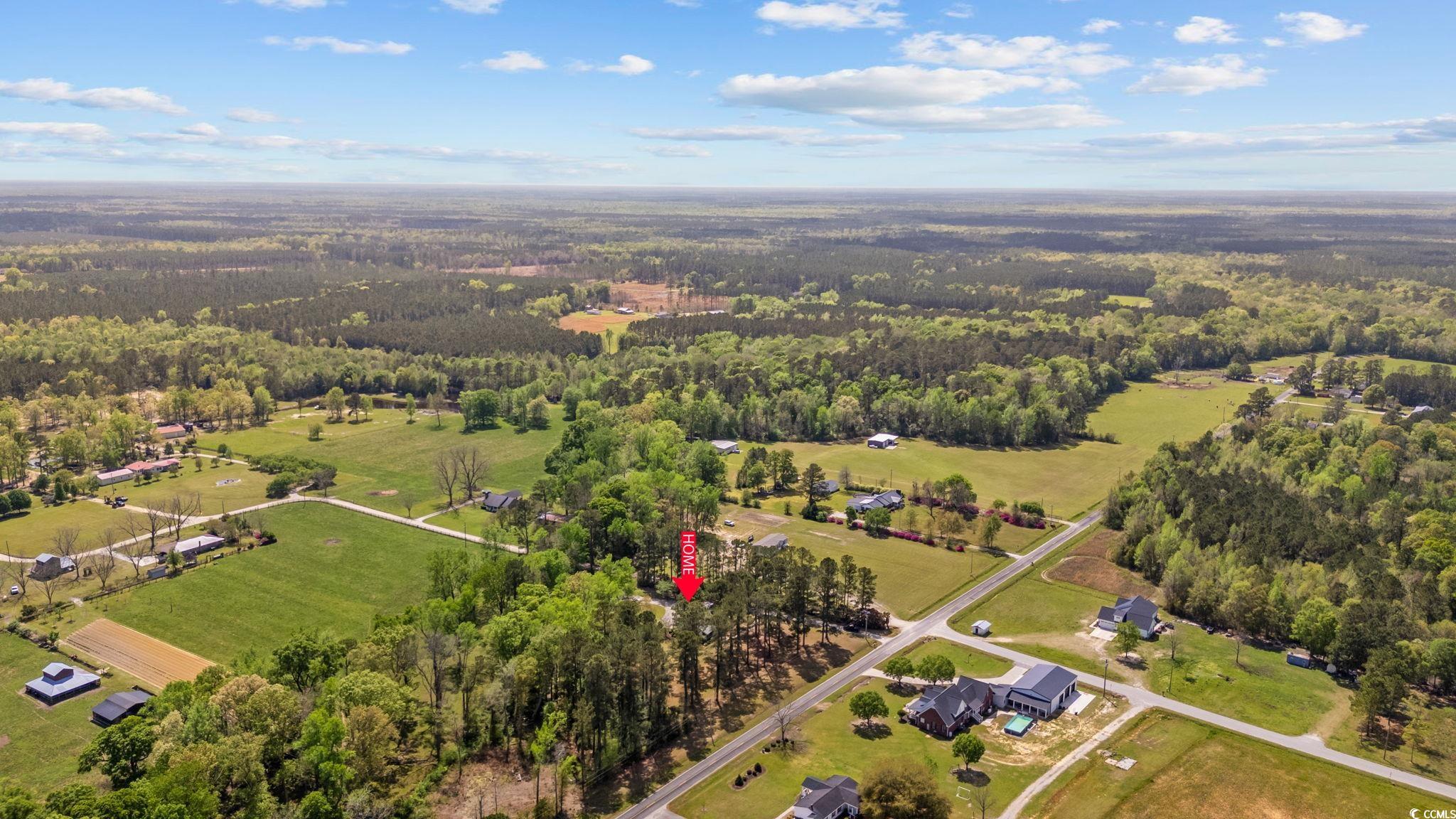2731 Fork Of Swamp Road Galivants Ferry, SC 29544 - Photo 31 of 32 Drone / aerial view with a wooded view and a rural