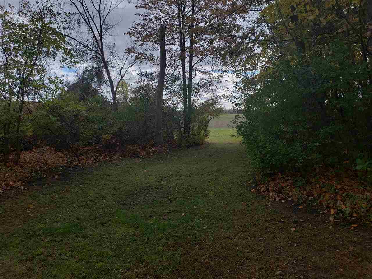 12240 Carr Road St. Charles, MI 48655 - Photo 46 of 48