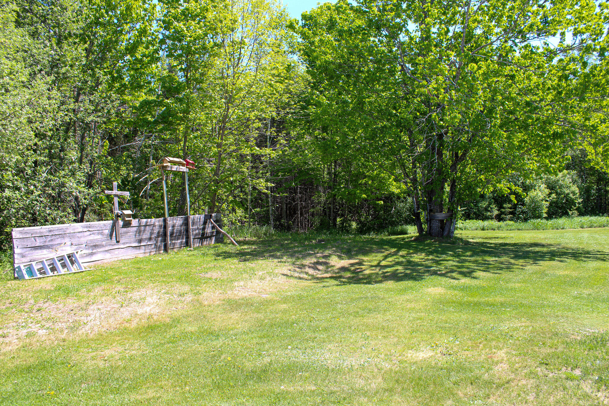 1444 Calais Road Danforth, ME 04424 - Photo 38 of 44 IMG_0370
