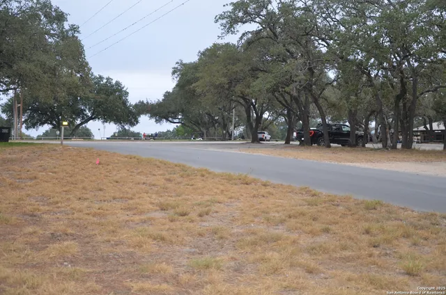 a view of a yard with a tree