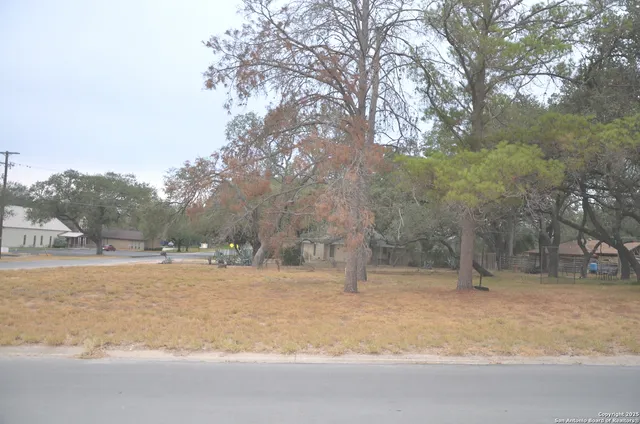 a view of road and trees
