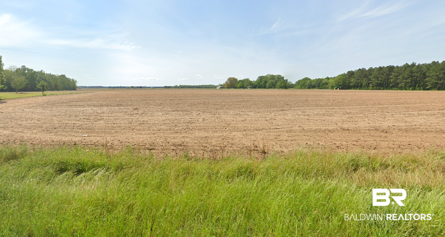 9109 Jack Springs Road Atmore, AL 36502 - Photo 5 of 16 Jack Springs Rod Frontage/View