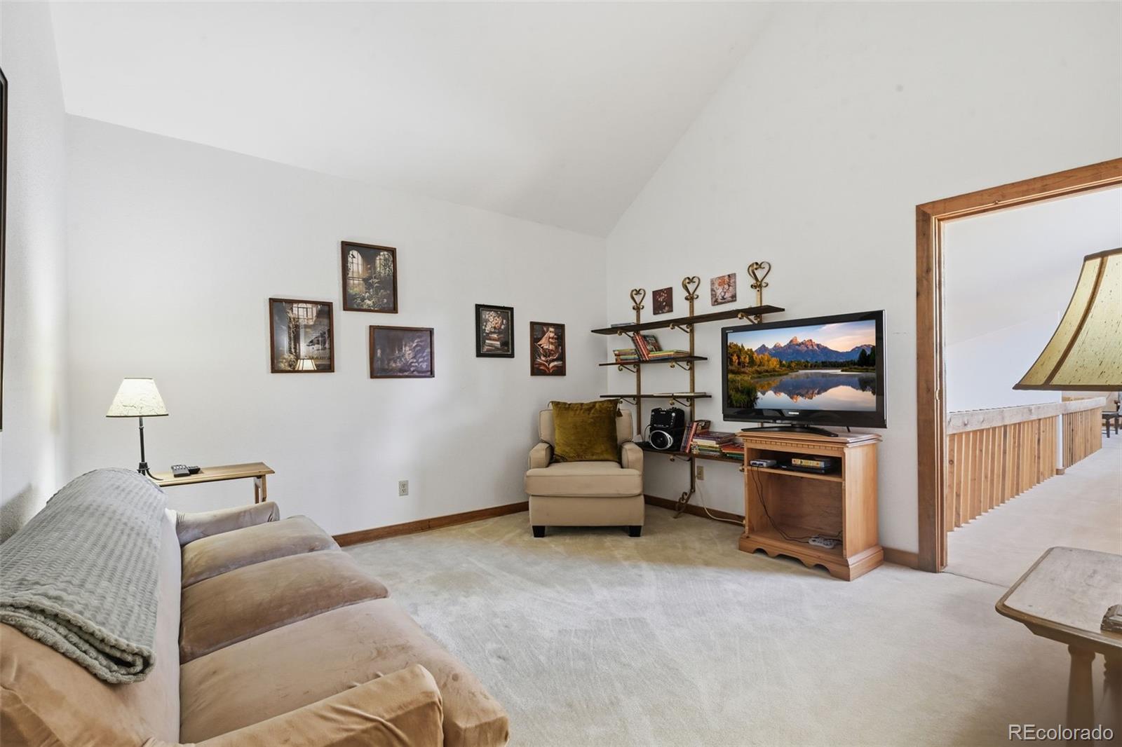 107 Ox Yoke Lane Bailey, CO 80421 - Photo 41 of 50
