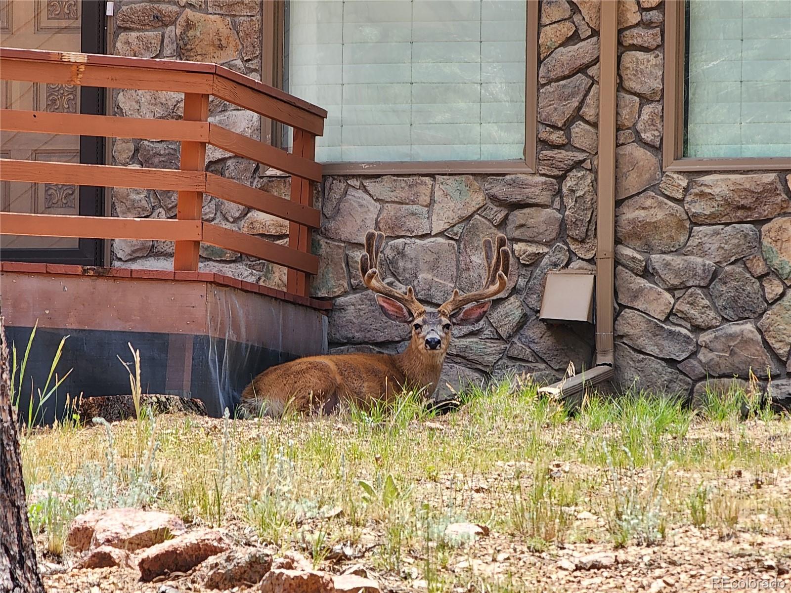 107 Ox Yoke Lane Bailey, CO 80421 - Photo 49 of 50