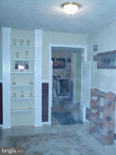 442 Joans Quadrangle Road Front Royal, VA 22630 - Photo 5 of 15 Finished Lower Level