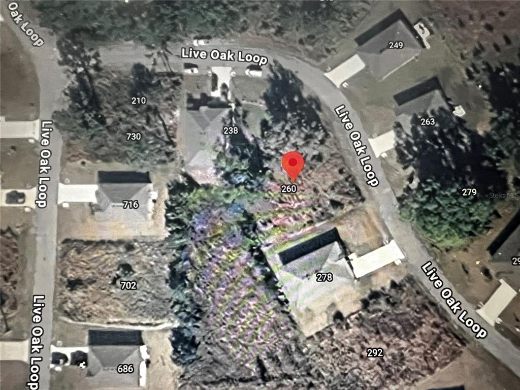 260 Live Oak Loop Crescent City, FL 32112 - Photo 16 of 18