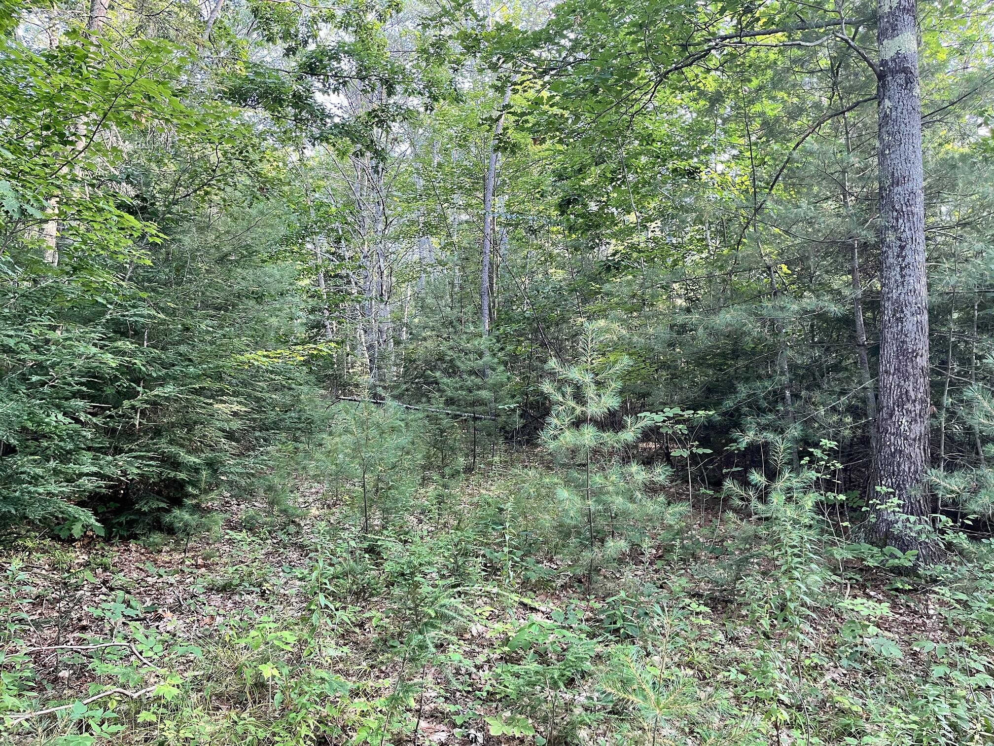 110 Lufkin Road North Yarmouth, ME 04097 - Photo 1 of 5 110 Lufkin IMG_0627 at 50