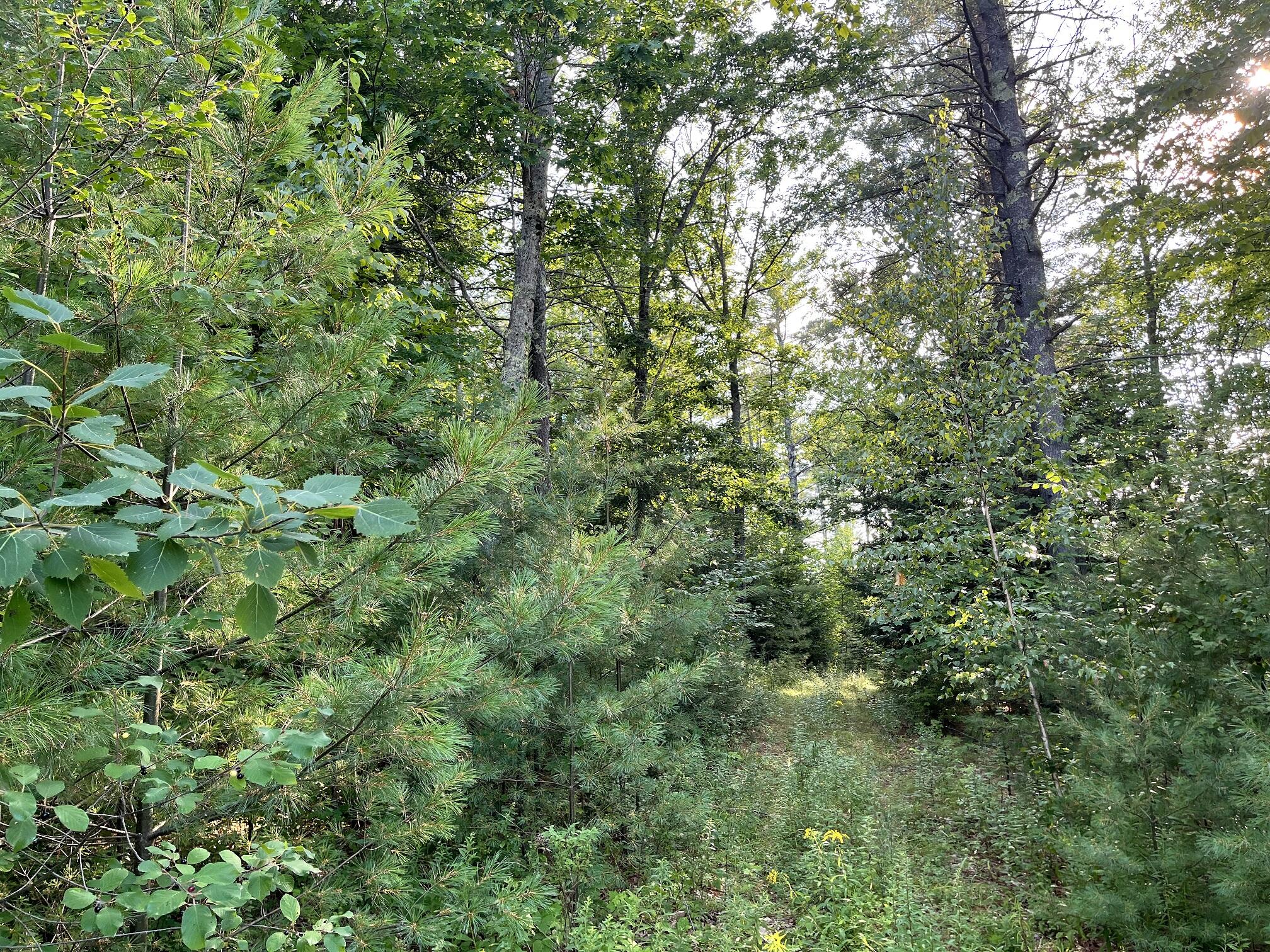 110 Lufkin Road North Yarmouth, ME 04097 - Photo 3 of 5 110 Lufkin IMG_0625 at 50