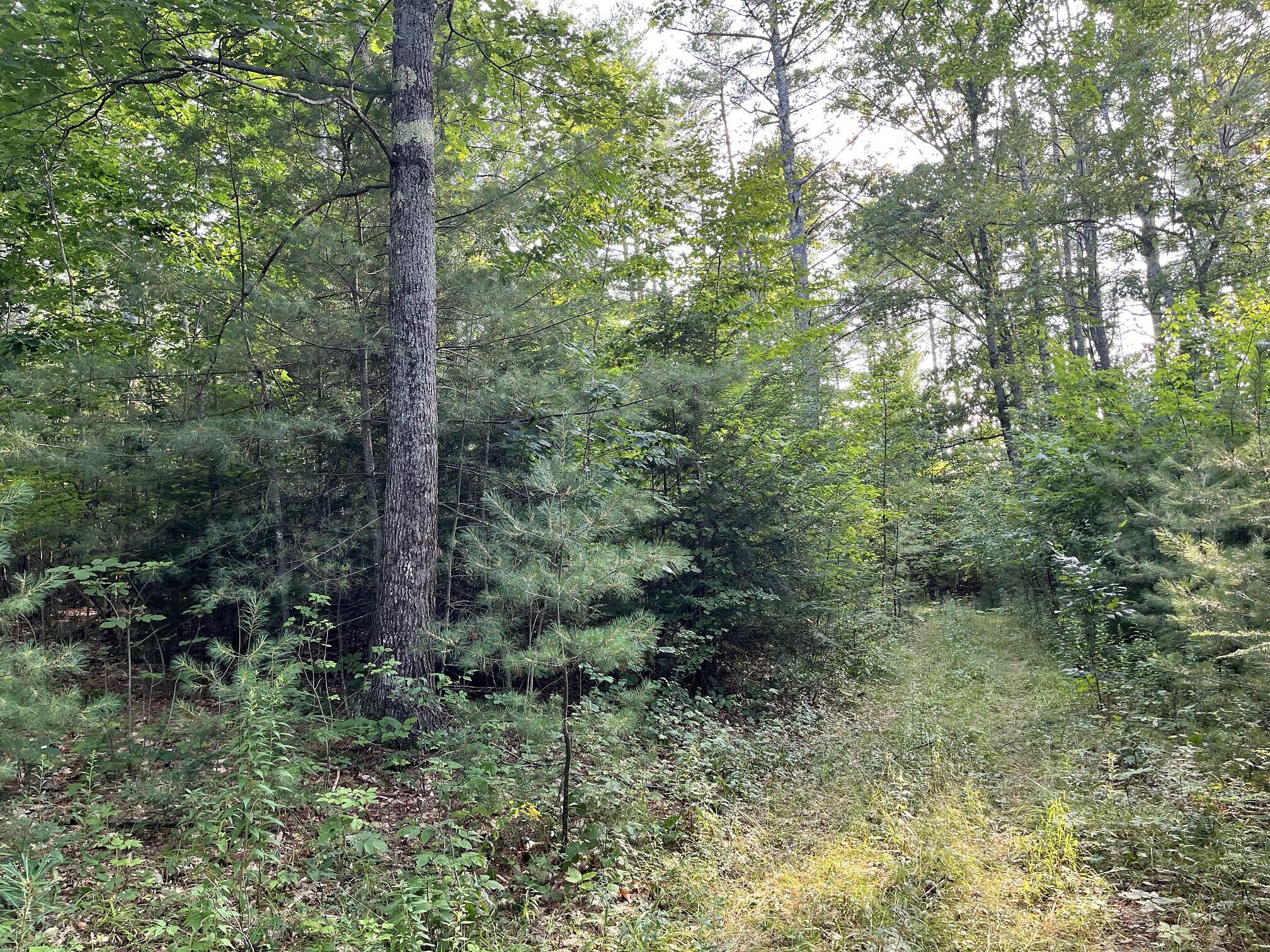 110 Lufkin Road North Yarmouth, ME 04097 - Photo 4 of 5 110 Lufkin IMG_0626 at 50