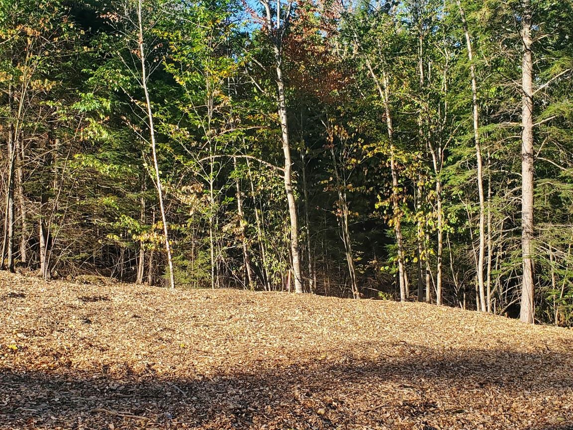 West Farms Road Canaan, NH 03741 - Photo 7 of 17 Gallery Image 7