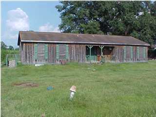 Primary Photo