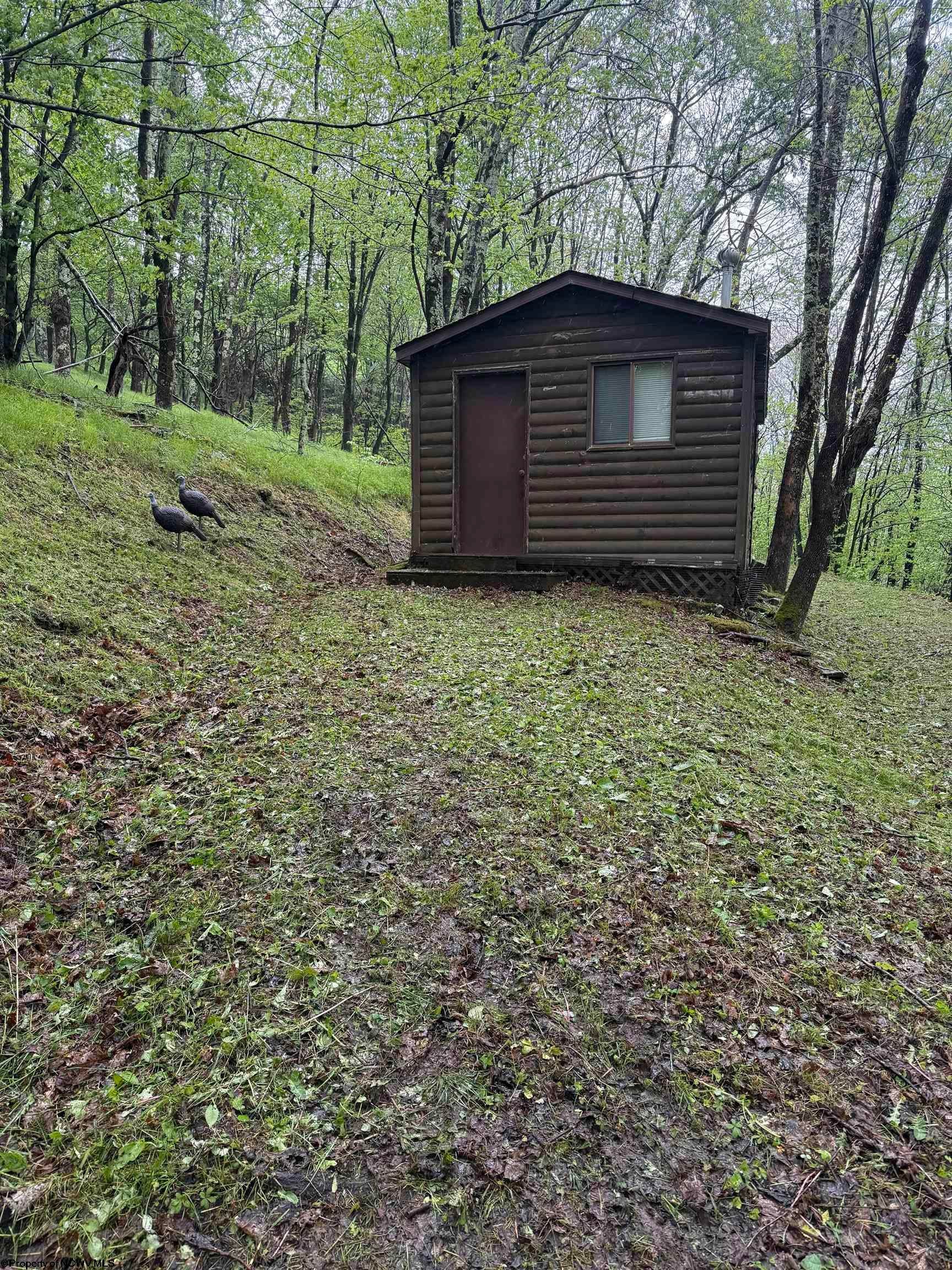 1019 Thunderstruck Road Dryfork, WV 26263 - Photo 11 of 19 Gallery Image 11