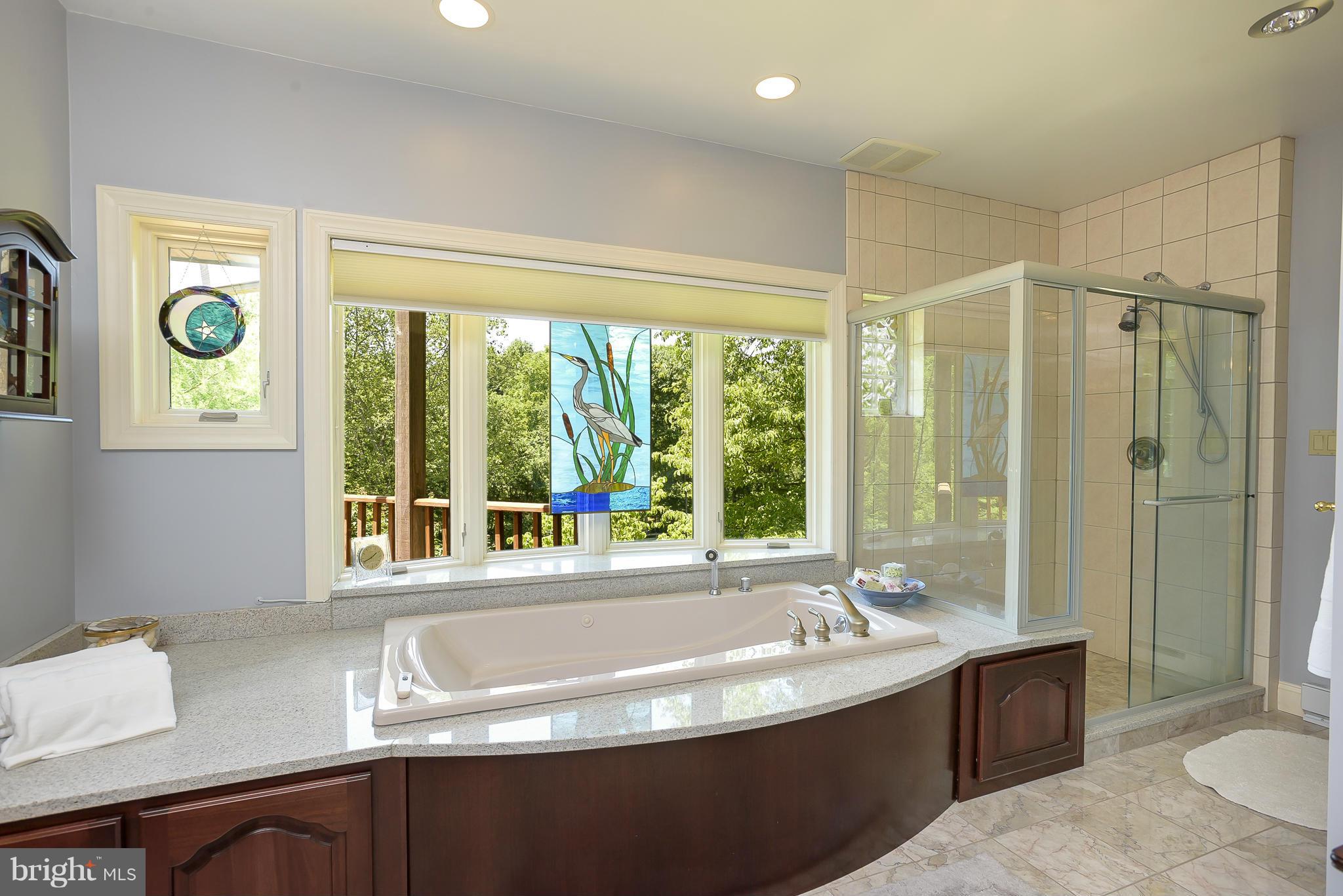 5155 Green Bridge Road Clarksville, MD 21029 - Photo 23 of 30 Bath (Master)