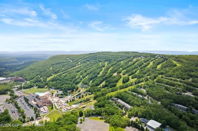 a view of a green field with lots of bushes