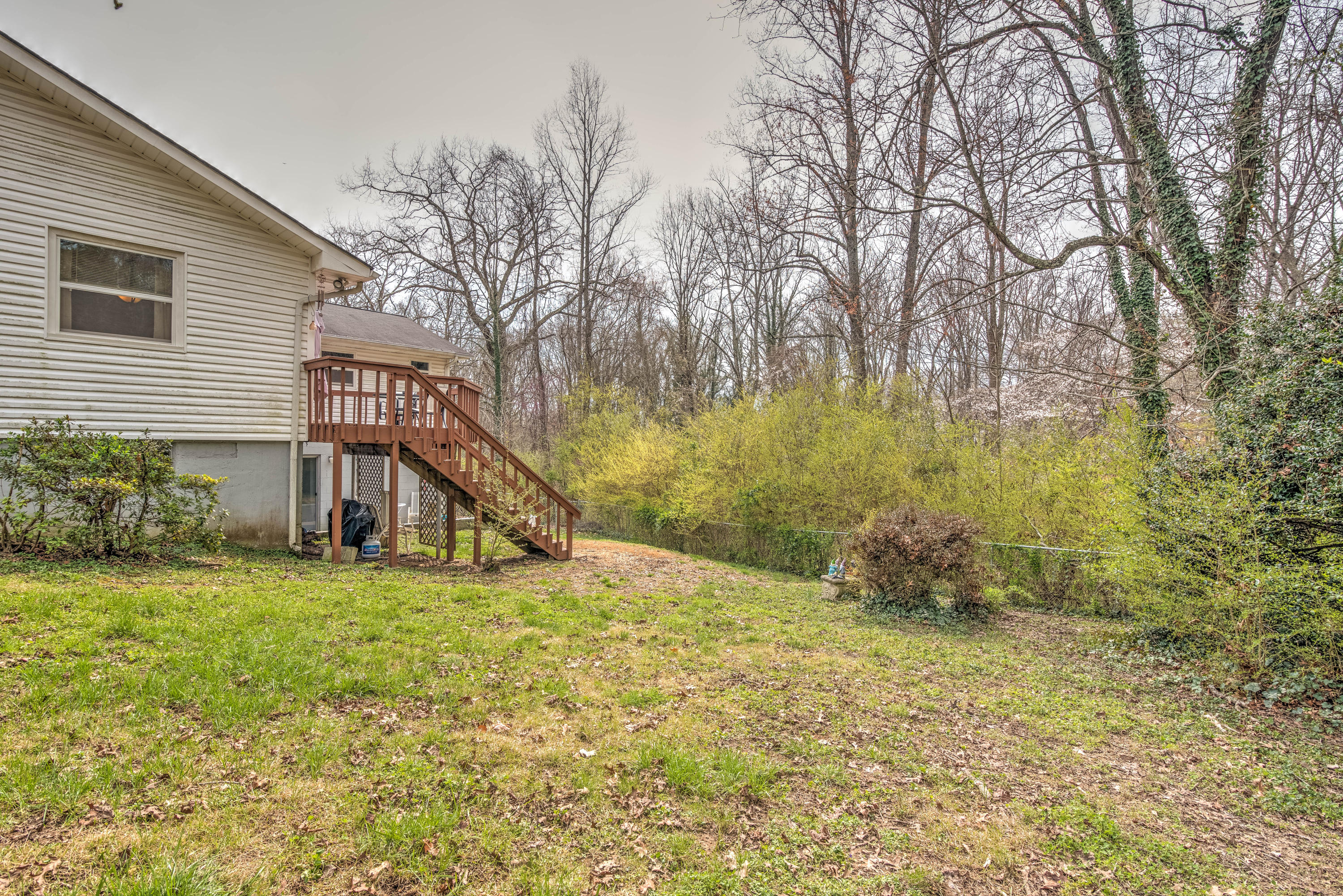119 Decatur Road Oak Ridge, TN 37830 - Photo 26 of 27 Back Yard
