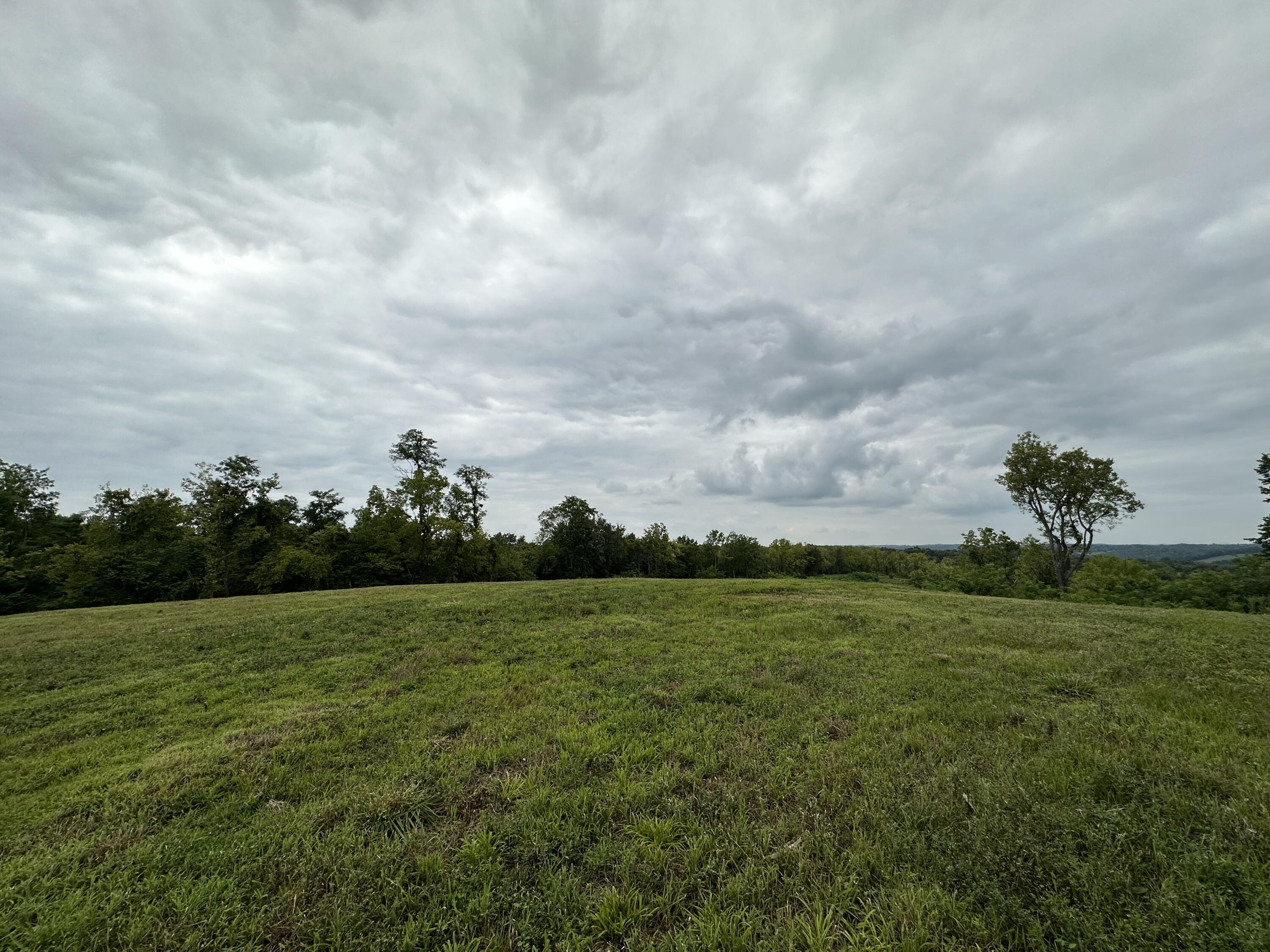 297 Ceder Road Owingsville, KY 40360 - Photo 20 of 26 Field