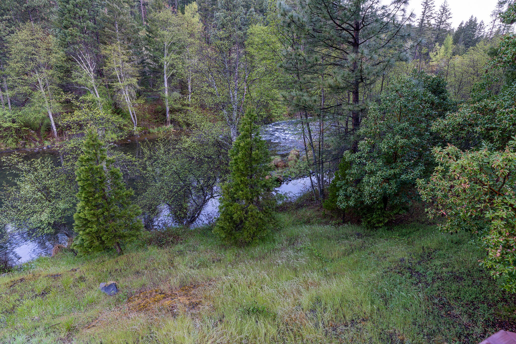 14738 Upper Applegate Road Jacksonville, OR 97530 - Photo 9 of 60 56_DSC2450