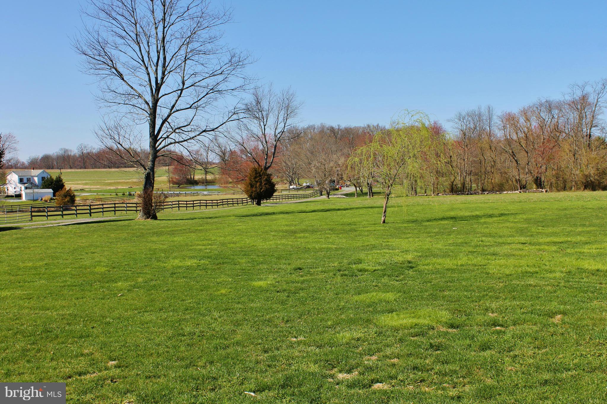71 Branch Road North East, MD 21901 - Photo 20 of 30 View