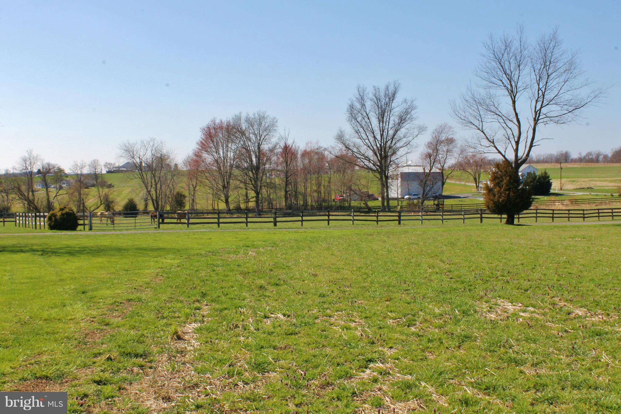 71 Branch Road North East, MD 21901 - Photo 23 of 30 View