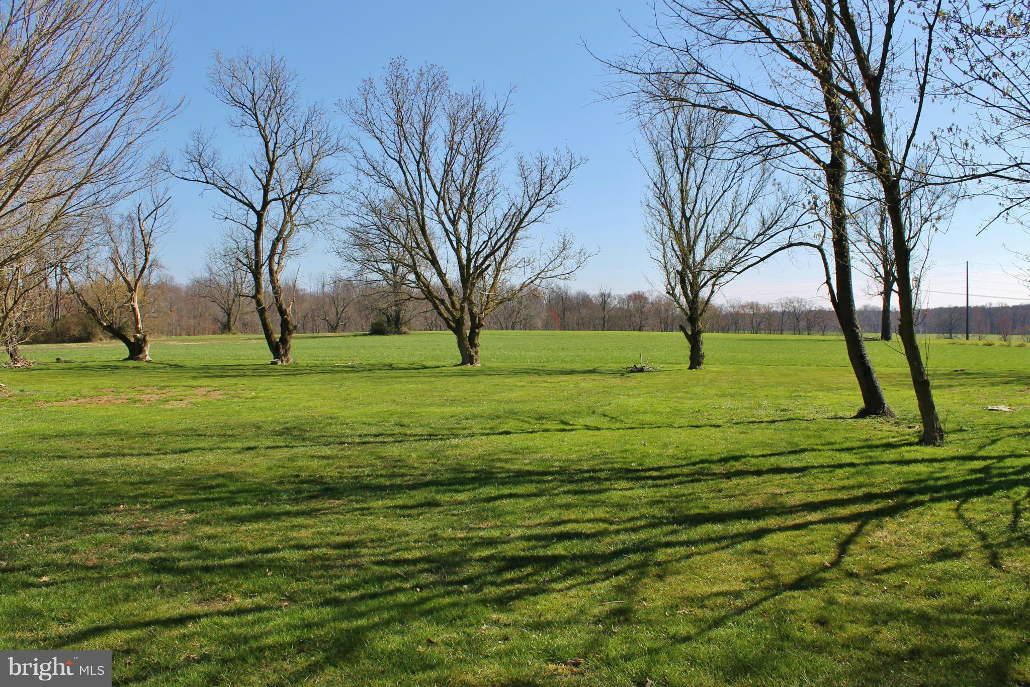 71 Branch Road North East, MD 21901 - Photo 27 of 30 View
