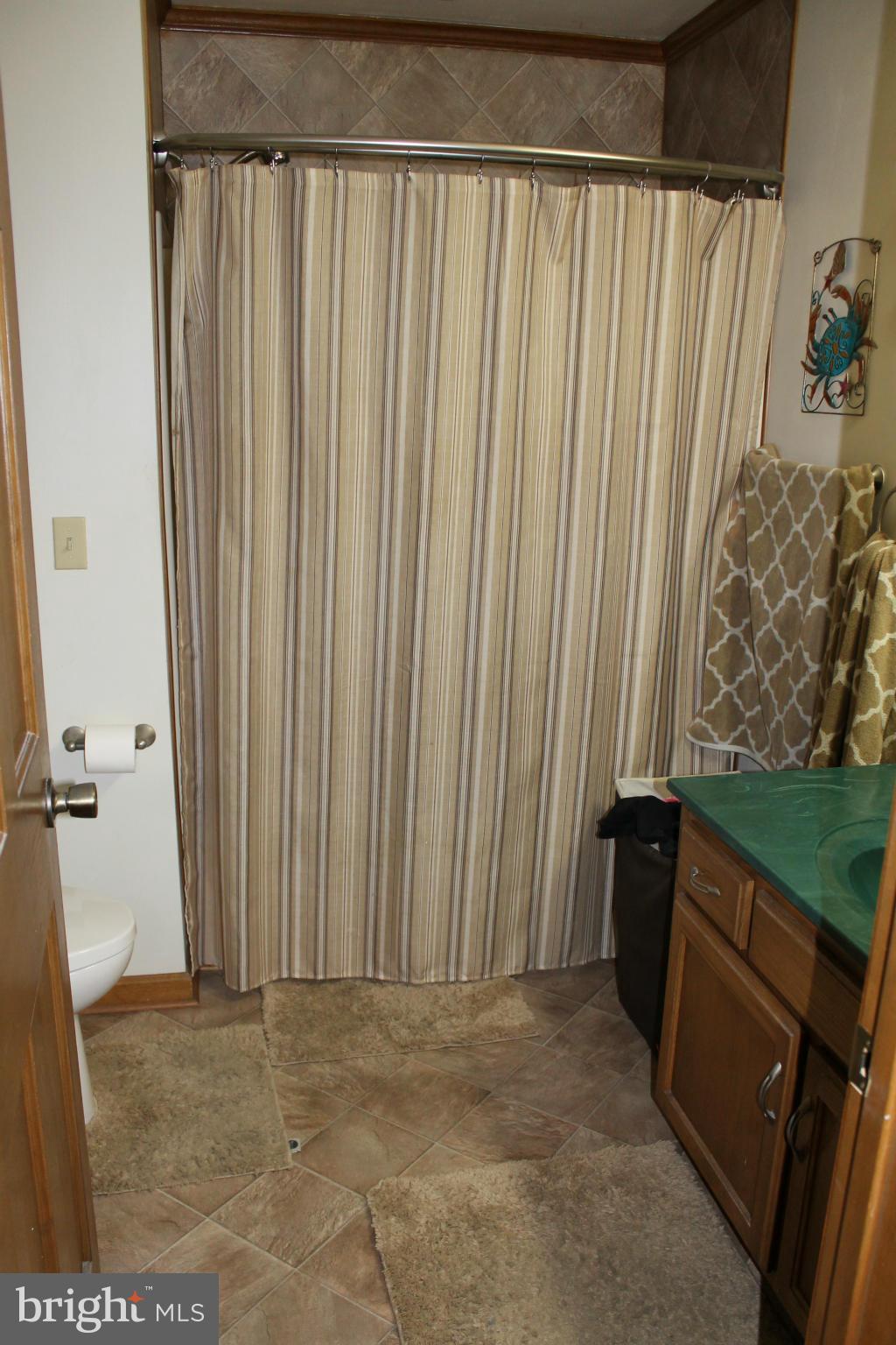 71 Branch Road North East, MD 21901 - Photo 9 of 30 Bath