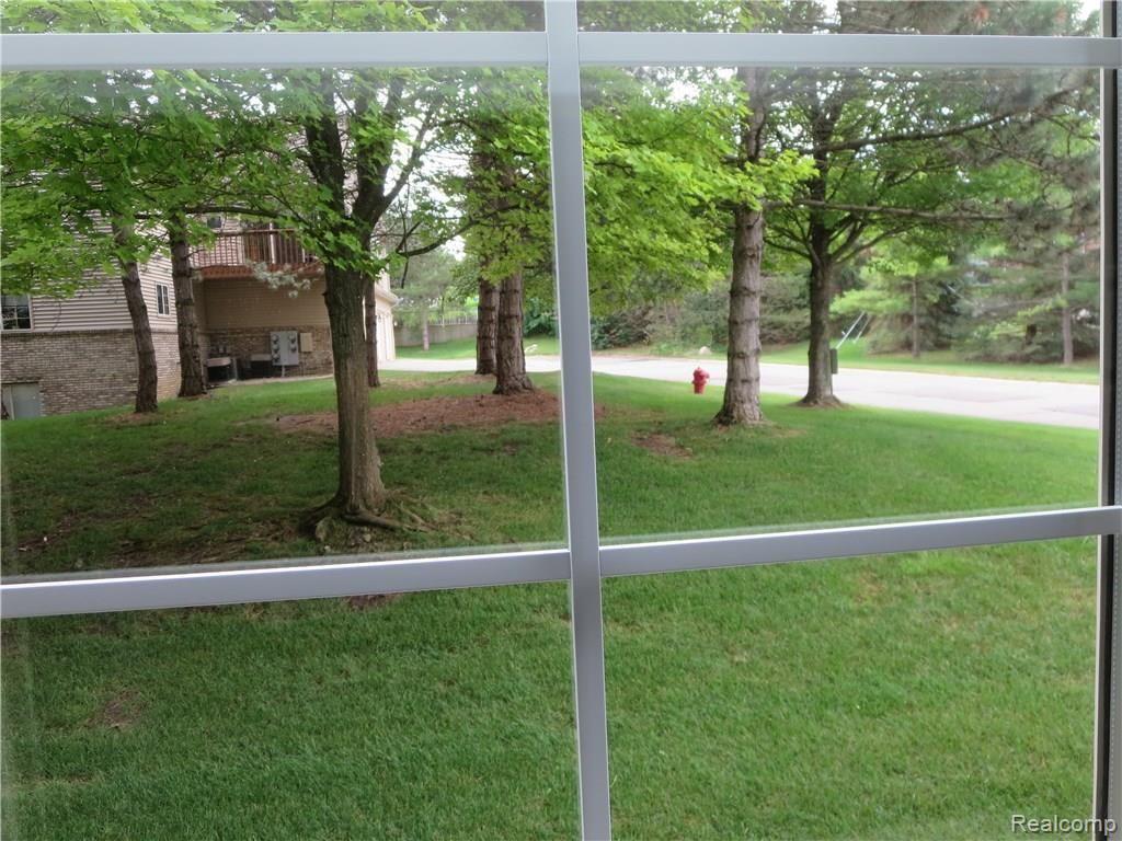 Dining Room window view