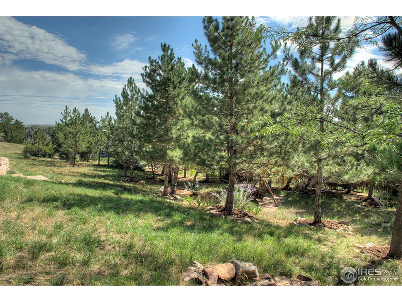 3850 Spring Valley Road Boulder, CO 80304 - Photo 9 of 25 a view of a yard