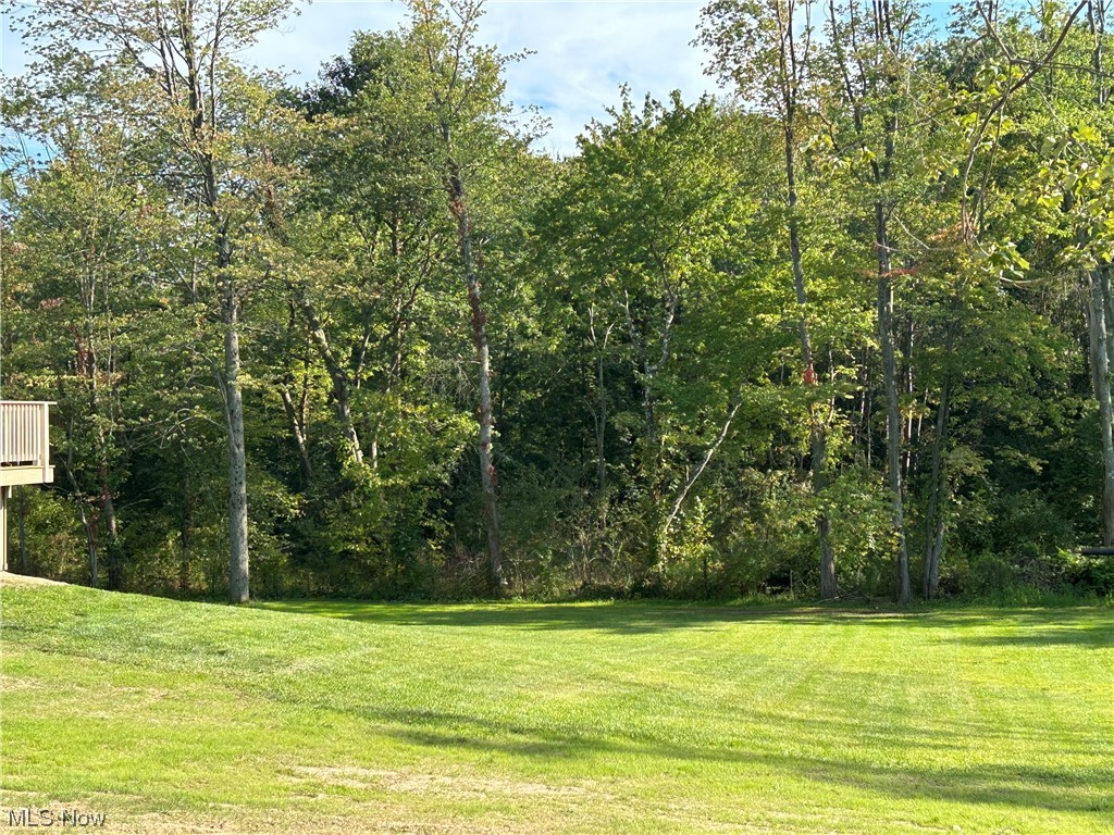 3084 Hamilton Road Medina, OH 44256 - Photo 27 of 35 View Back Wooded Line