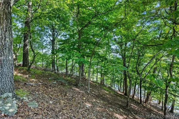 $1,099,000 | 111 Waterford Ter Lake, Sunrise Beach, MO 65079