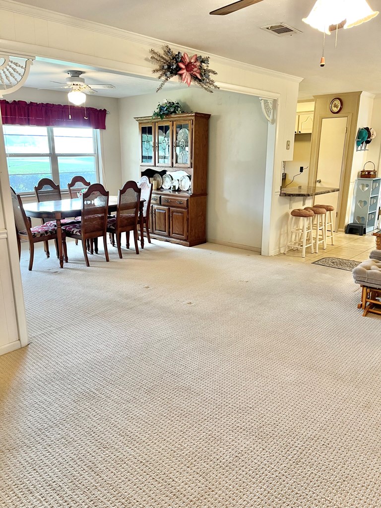 869 Bethlehem Road Midland City, AL 36350 - Photo 20 of 41 Gallery Image 20