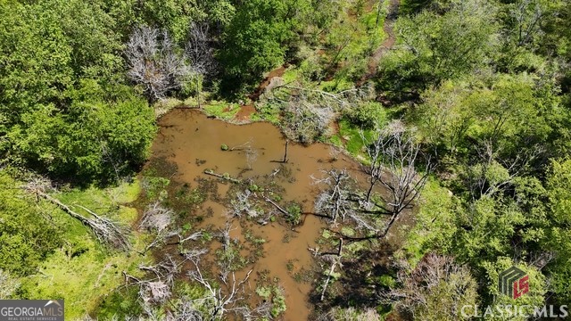 0 Moore Road Elberton, GA 30635 - Photo 23 of 67