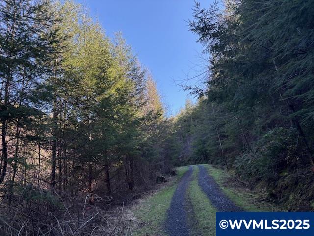 0 Steer Creek Road Blodgett, OR 97326 - Photo 9 of 14