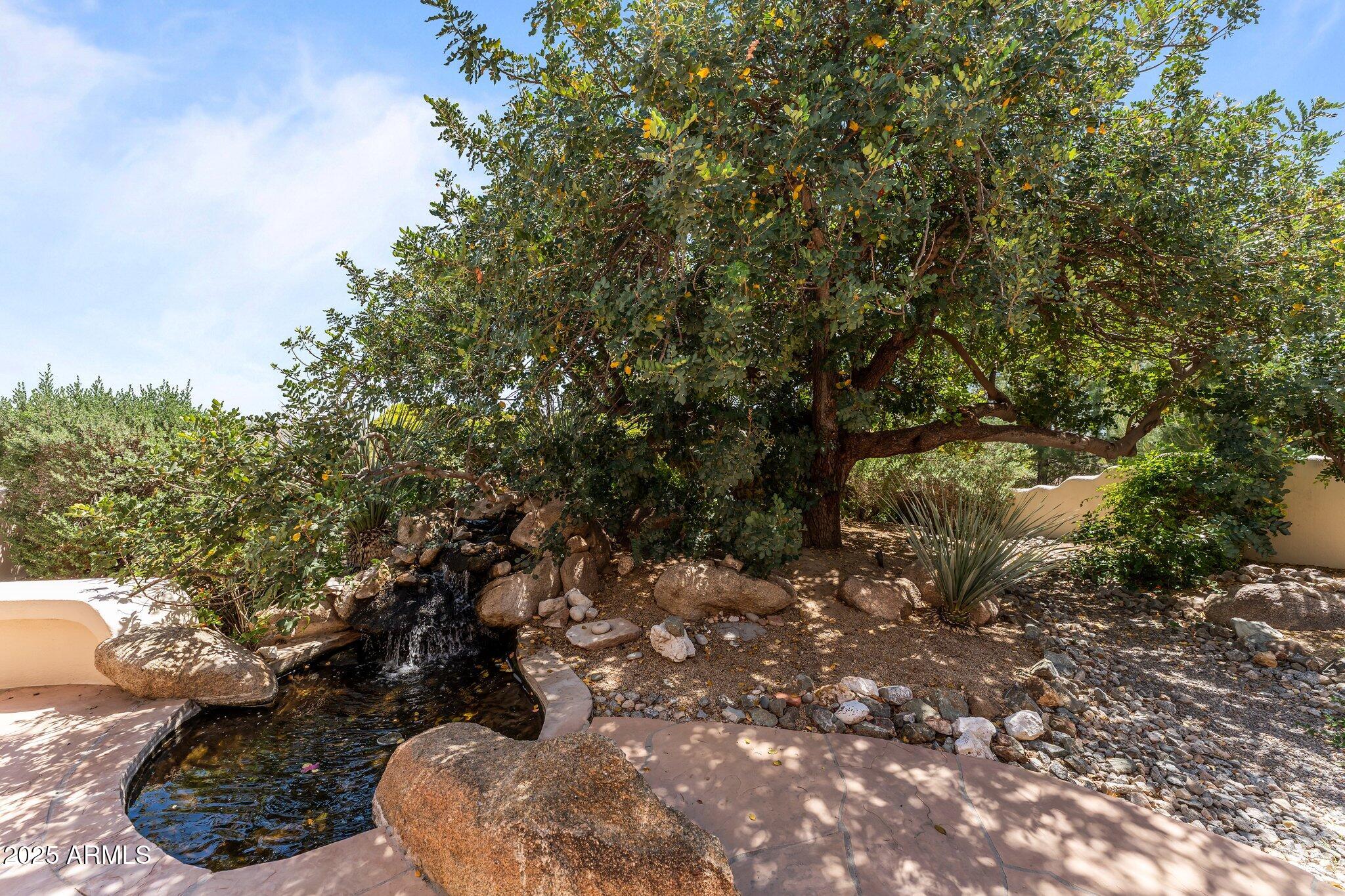 651 Chaparral Road Wickenburg, AZ 85390 - Photo 51 of 58 a view of a tree in a yard