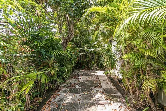 a view of a garden with plants