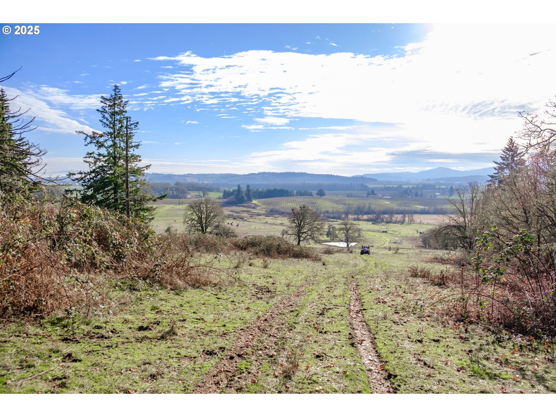 0 Next To) Airlie Road Monmouth, OR 97361 - Photo 24 of 34