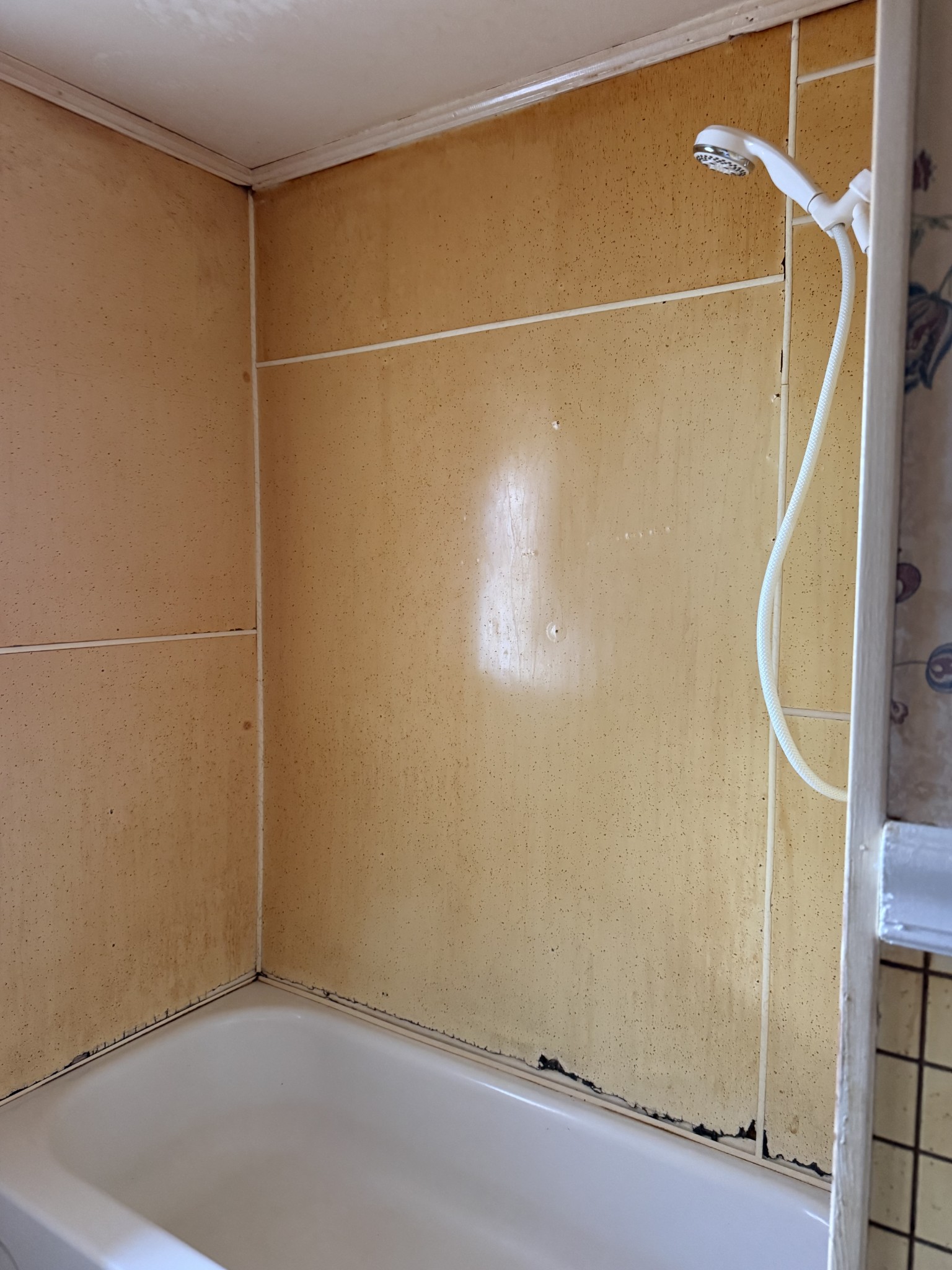 1245 Beech Grove Road Lafayette, TN 37083 - Photo 17 of 17 a bathroom with a shower