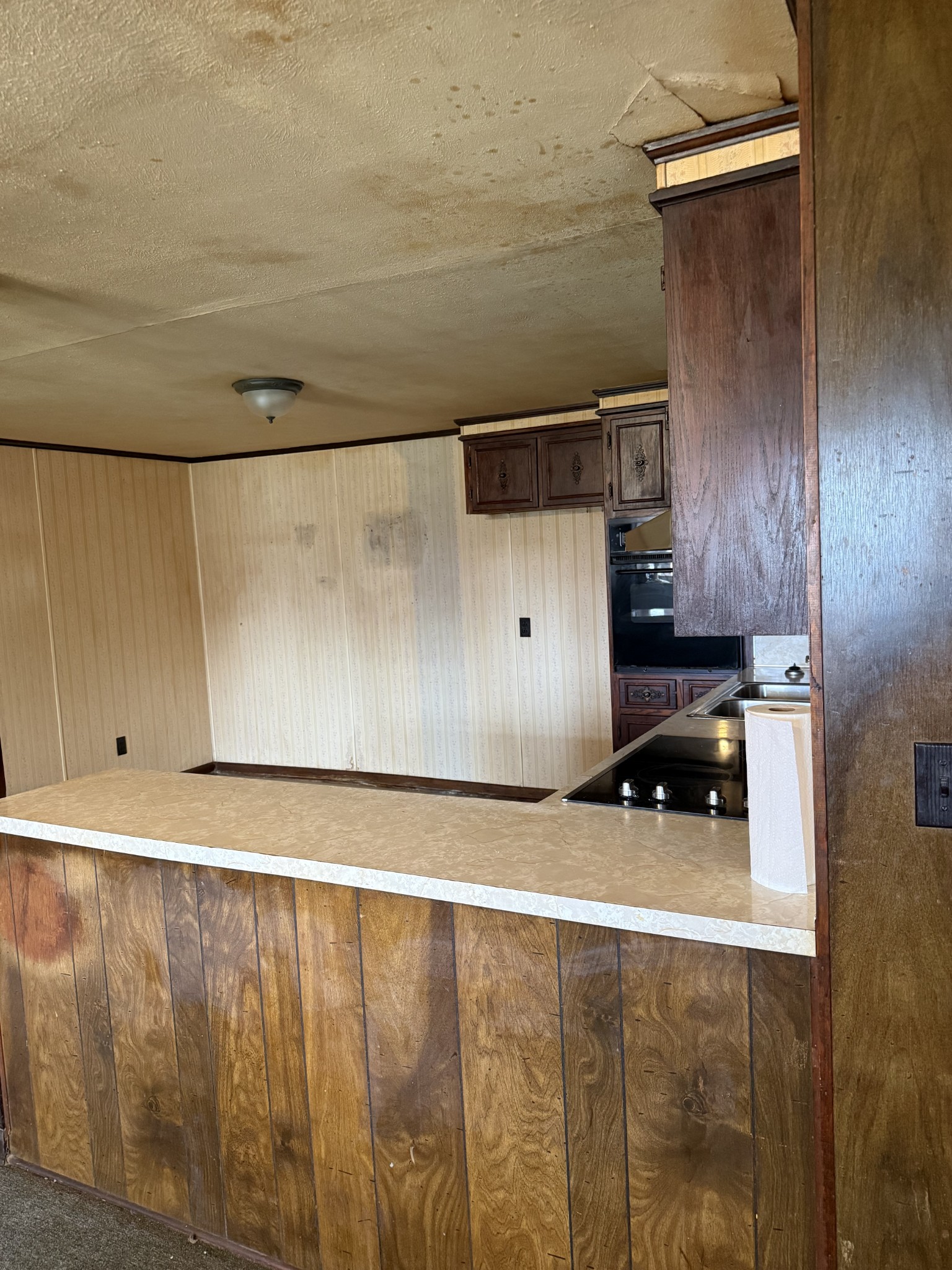 1245 Beech Grove Road Lafayette, TN 37083 - Photo 9 of 17 a backyard of a house