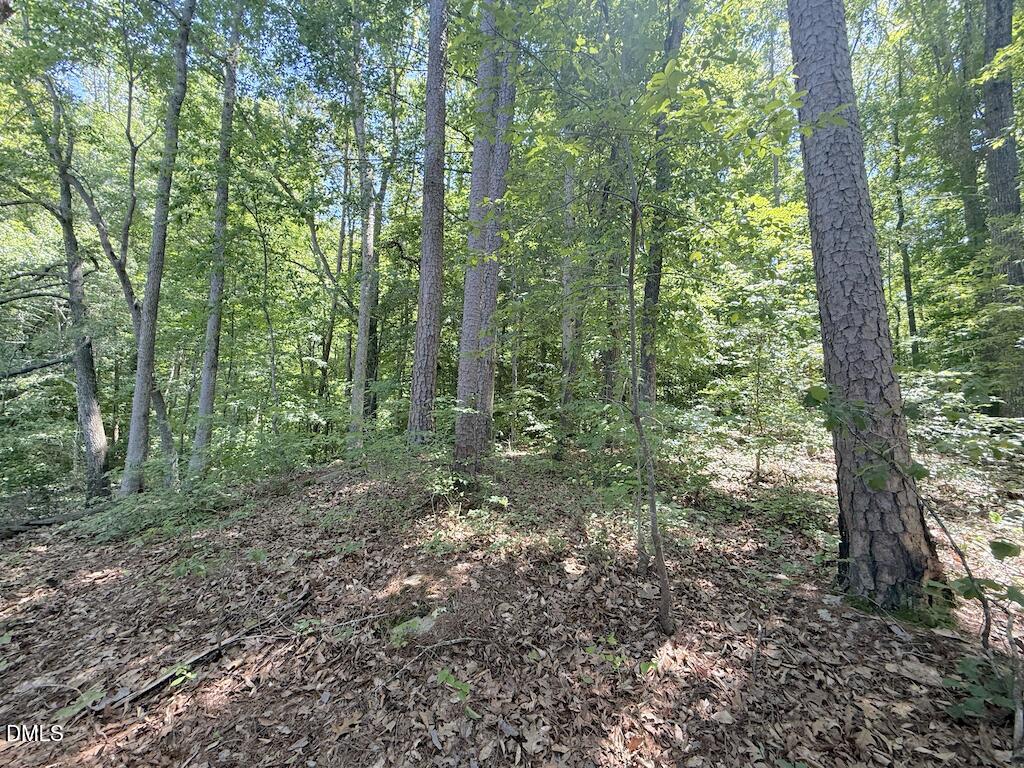 0 Buttonwood Lane Roxboro, NC 27574 - Photo 29 of 36