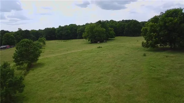 a view of a grassy area with an trees