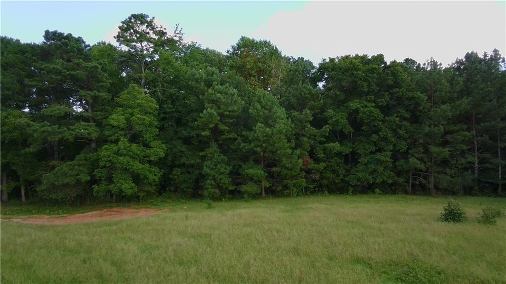 876 Simpson Mill Road Locust Grove, GA 30248 - Photo 19 of 40 a view of a field with trees in the background
