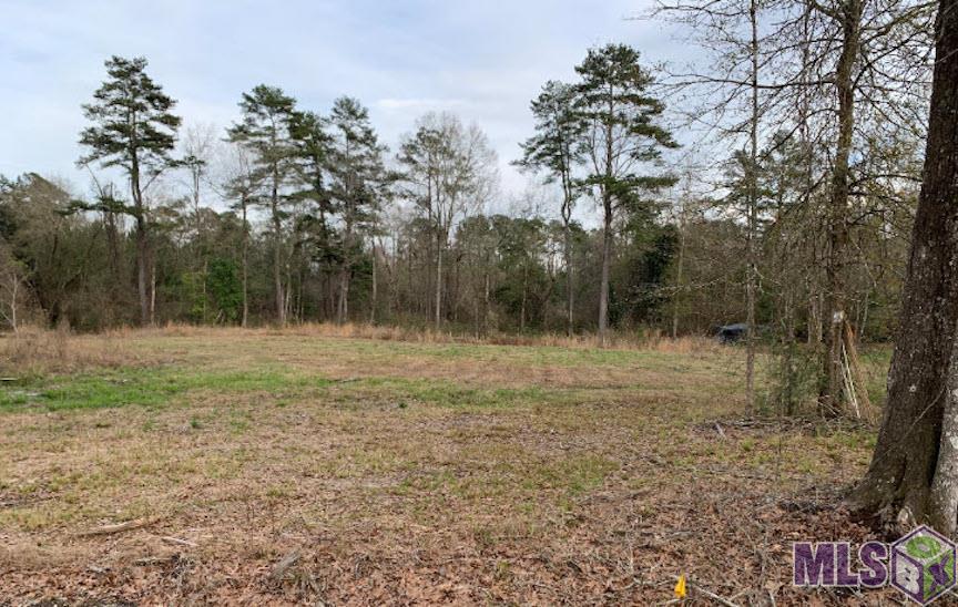 31108 North Doyle Road Holden, LA 70744 - Photo 1 of 1 Gallery Image 1