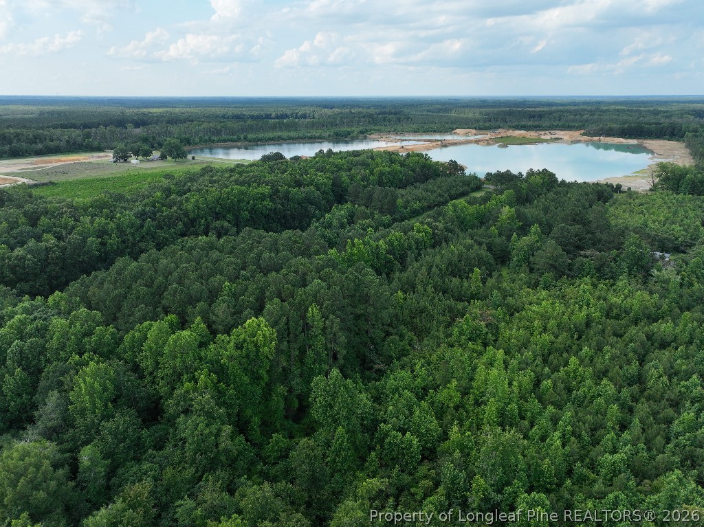 8125 Carlos Road Linden, NC 28356 - Photo 4 of 5 a view of a lake with houses in the back