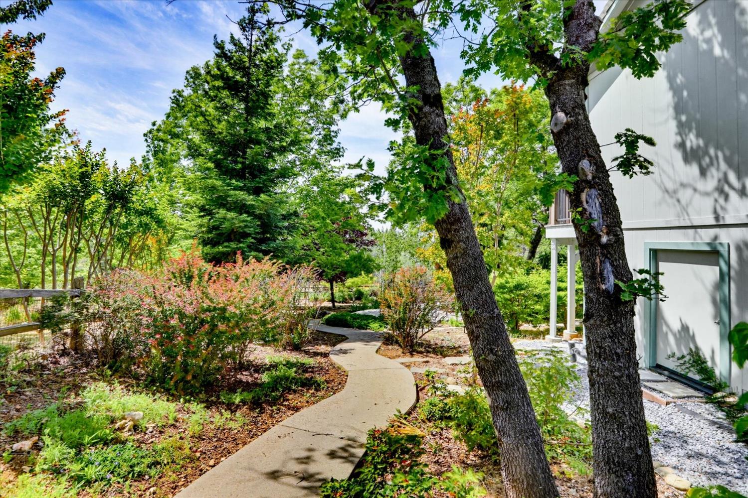 970 Morgan Ranch Drive Grass Valley, CA 95945 - Photo 47 of 76